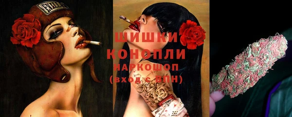 соль ск Осинники