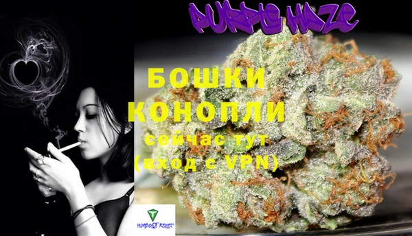 прущая мука Бикин