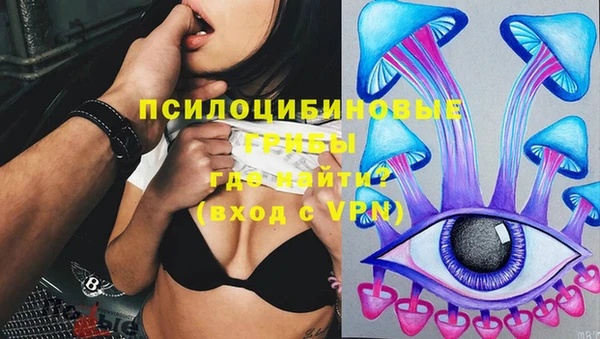 ПСИЛОЦИБИНОВЫЕ ГРИБЫ Остров