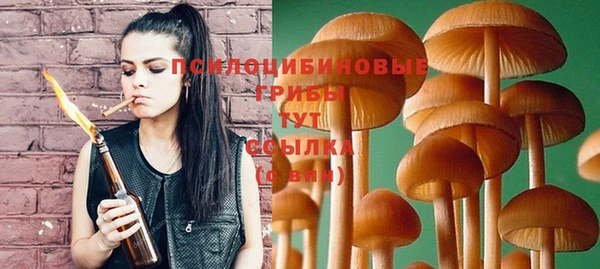 Альфа ПВП Беслан