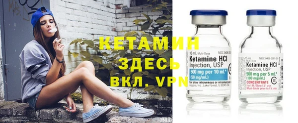 индика Билибино