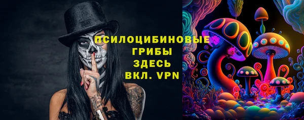 соль ск Осинники