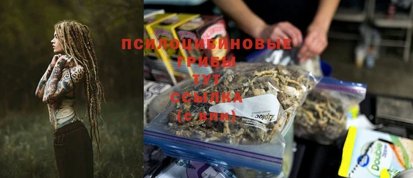 ПСИЛОЦИБИНОВЫЕ ГРИБЫ Остров