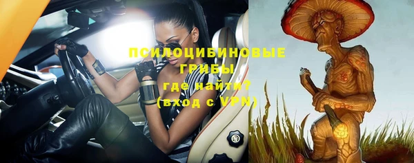 индика Билибино