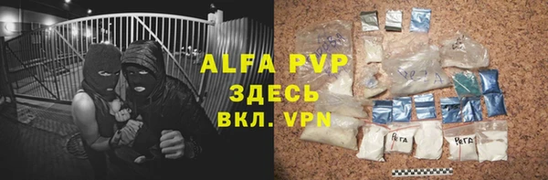 прущие грибы Болхов