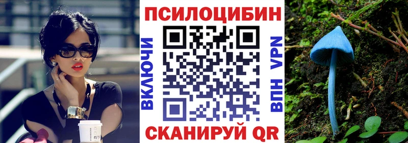 Псилоцибиновые грибы Cubensis  Энгельс 