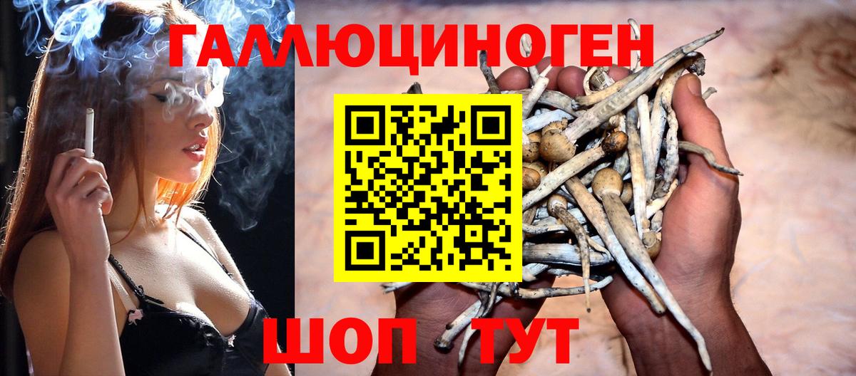 Галлюциногенные грибы ЛСД Энгельс